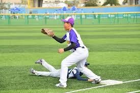 王维中先发内容持续观察